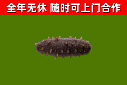 宝兴烟酒回收干海参.jpg